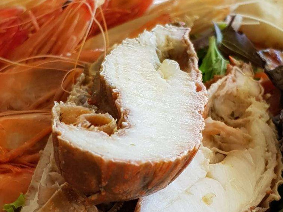 Bribie Island Surf Club