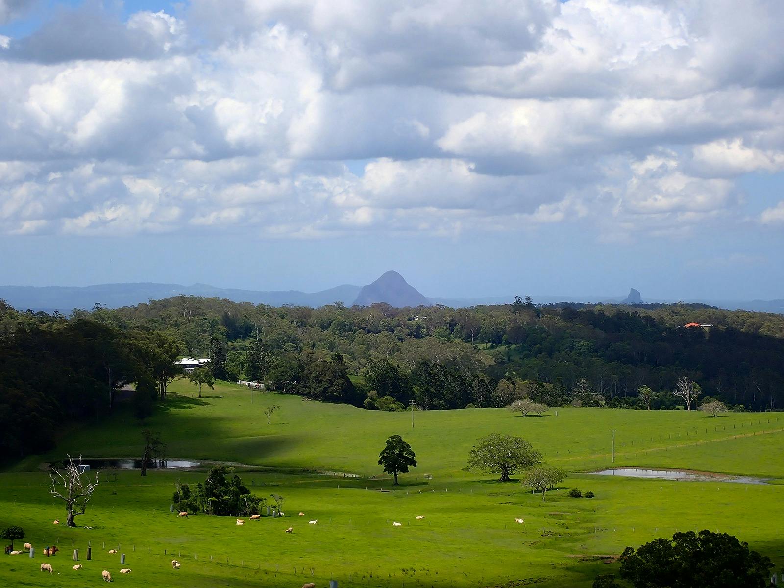 View of Glass House Mountains