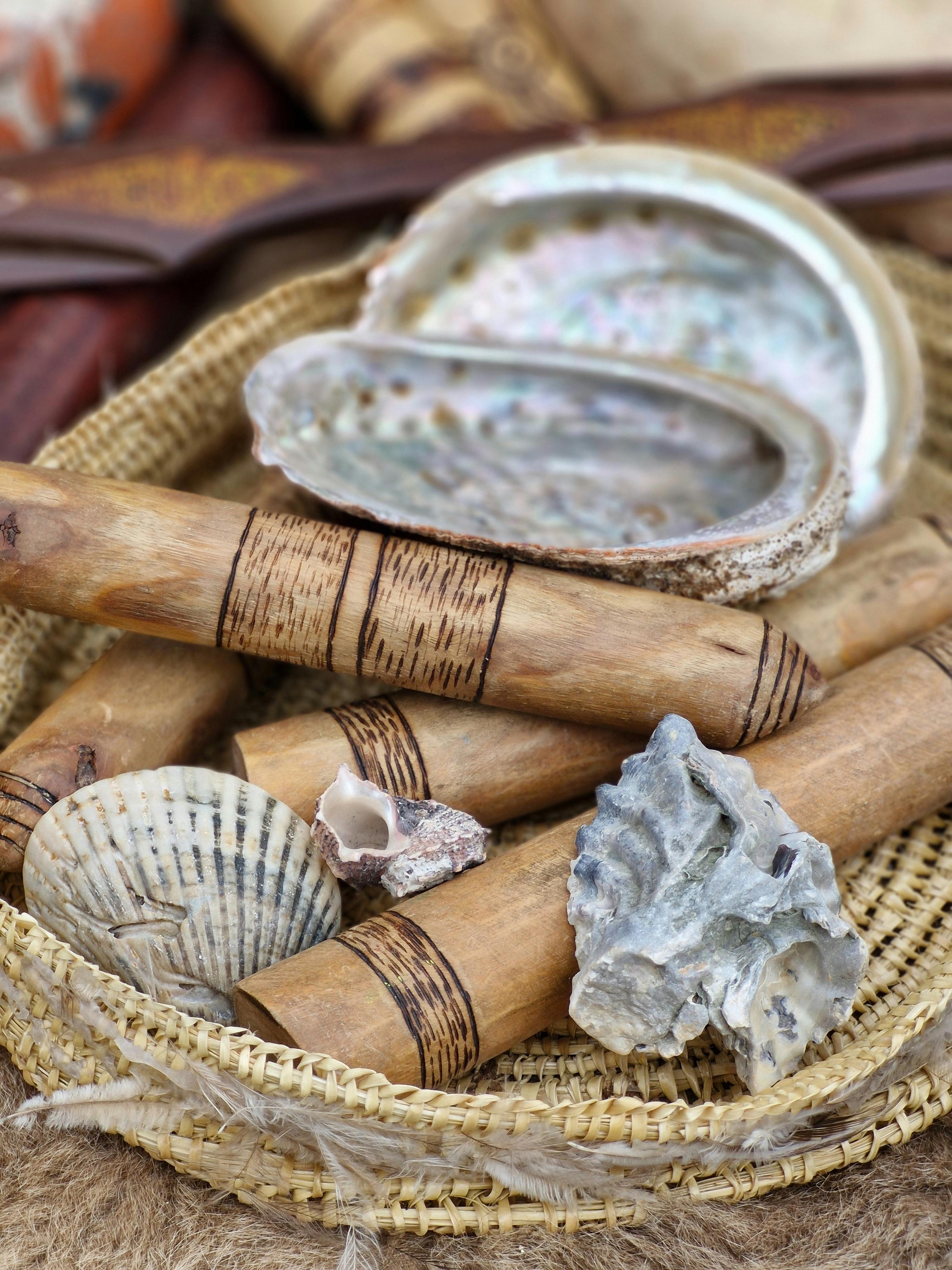 Objektausstellung von Abolone, einer Pipi und Herzmuscheln, Schlagstäbe mit eingravierter Brandkunst.