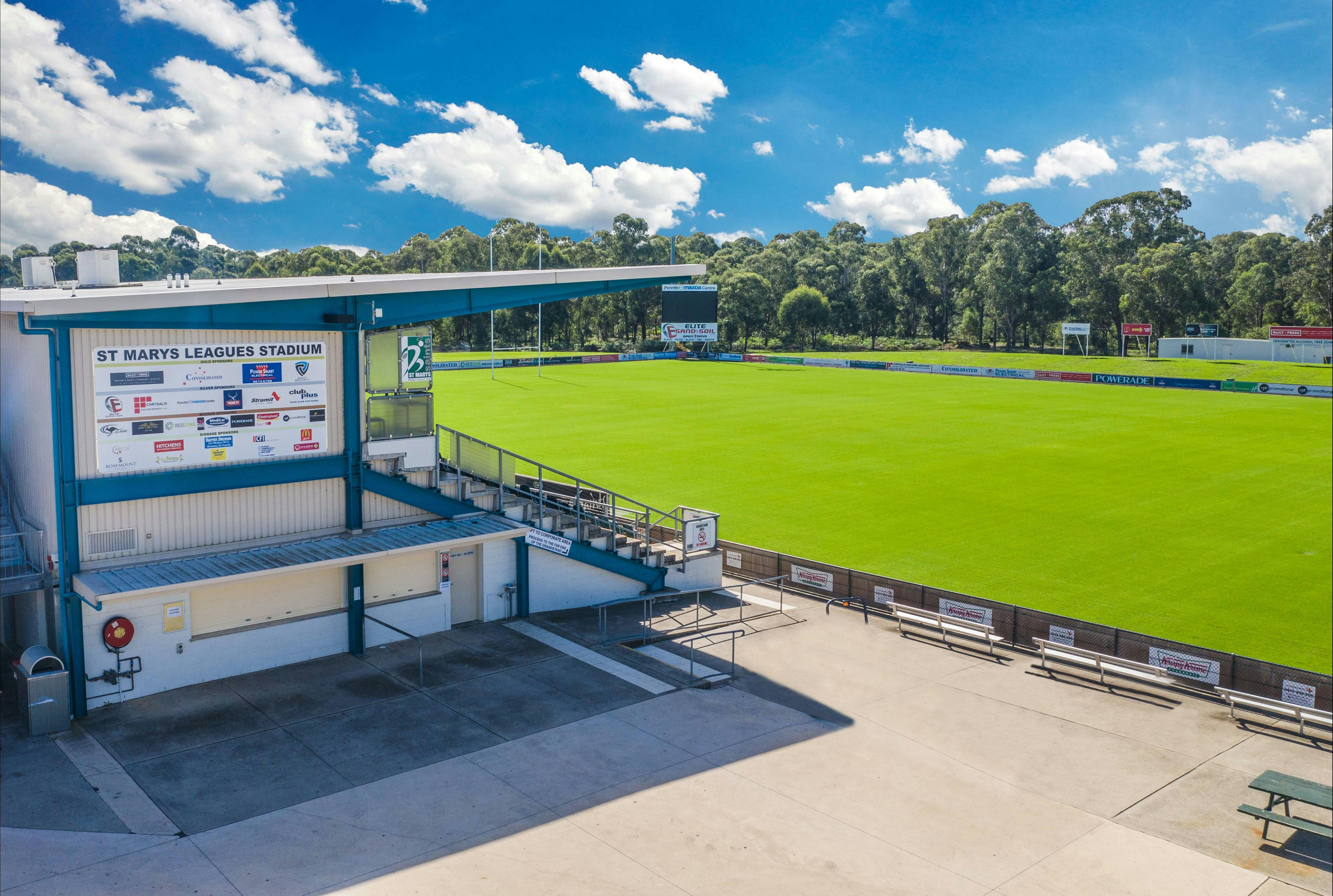 Premium playing surface