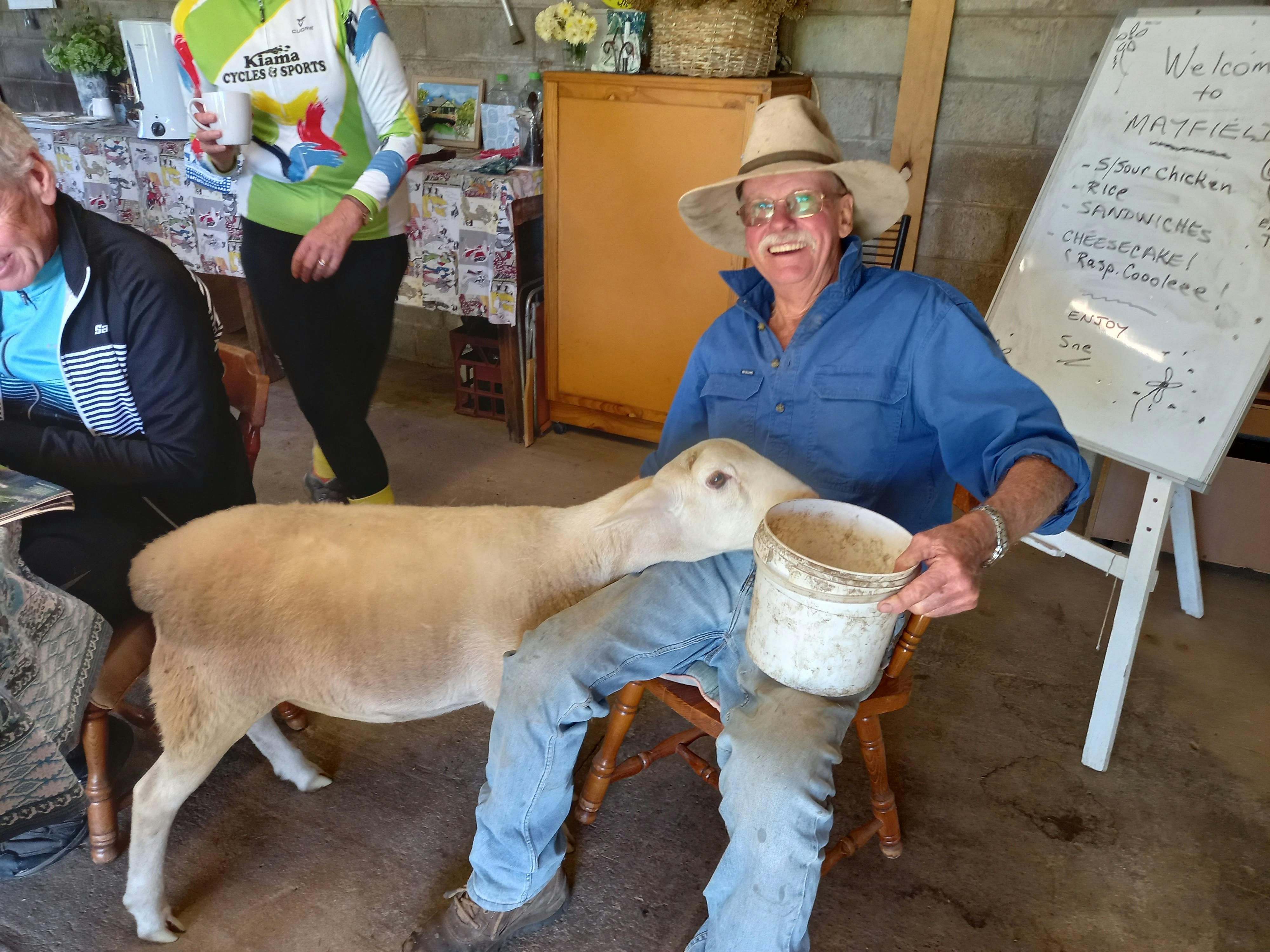 Farmer feeding a sheep at his feet