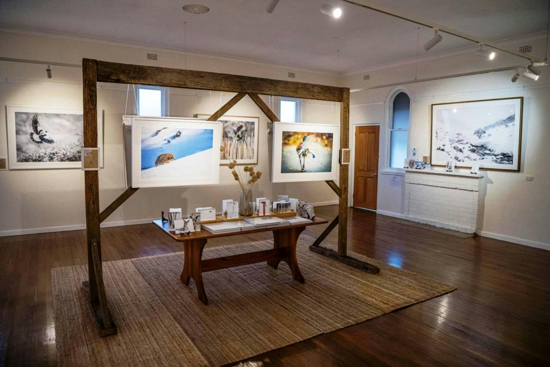 Charles Davis Photography Gallery