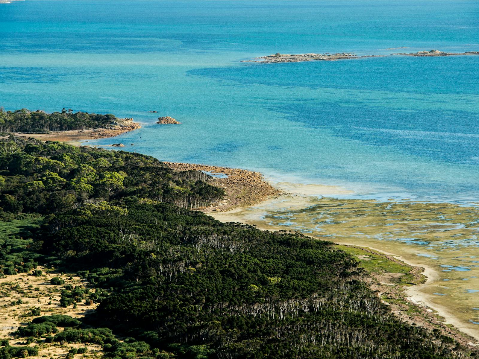 Helicopter Tour