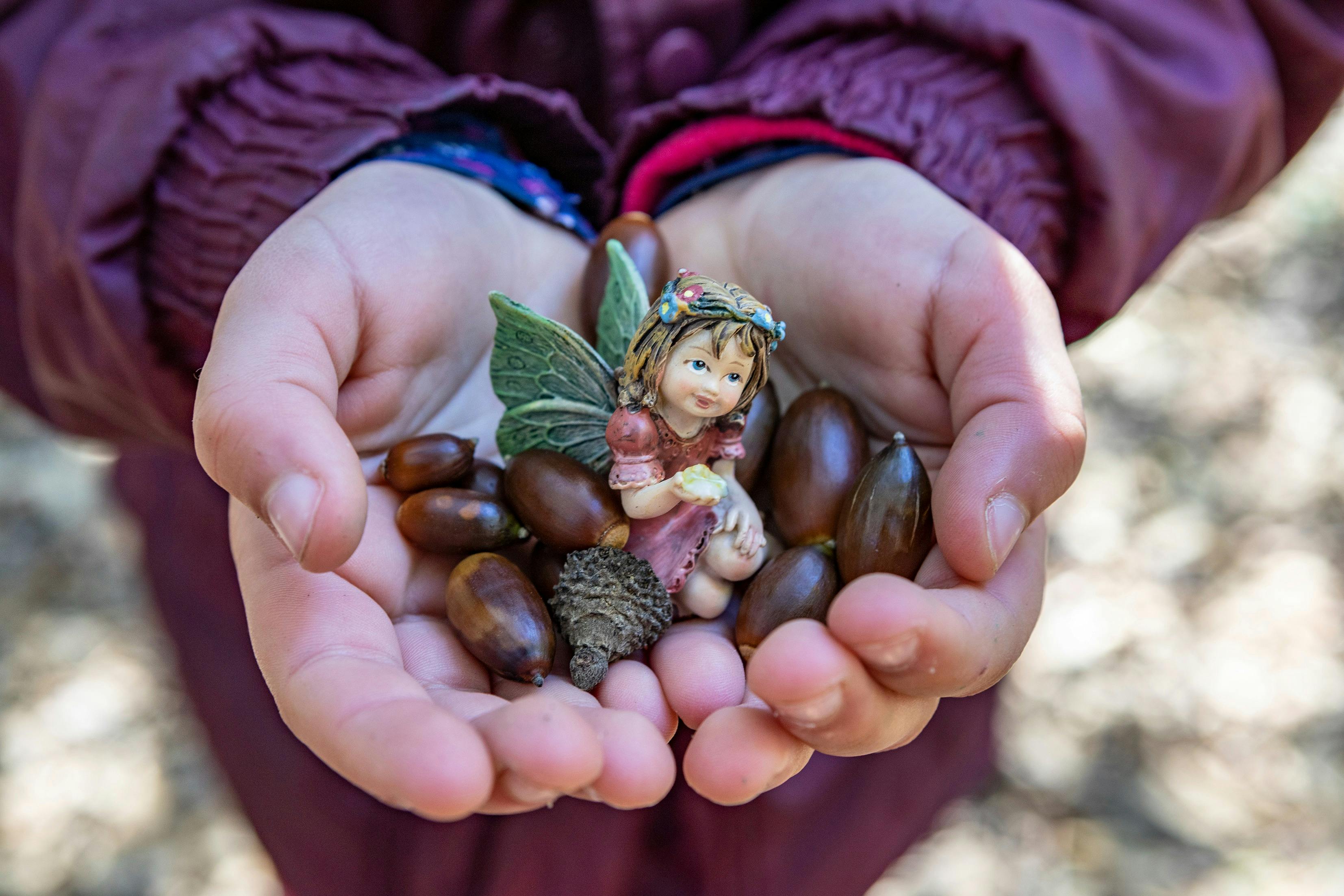 childs cup hands holding acorns and a fairy