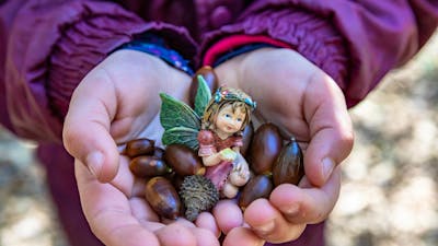 childs cup hands holding acorns and a fairy