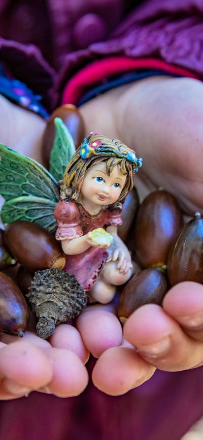 childs cup hands holding acorns and a fairy