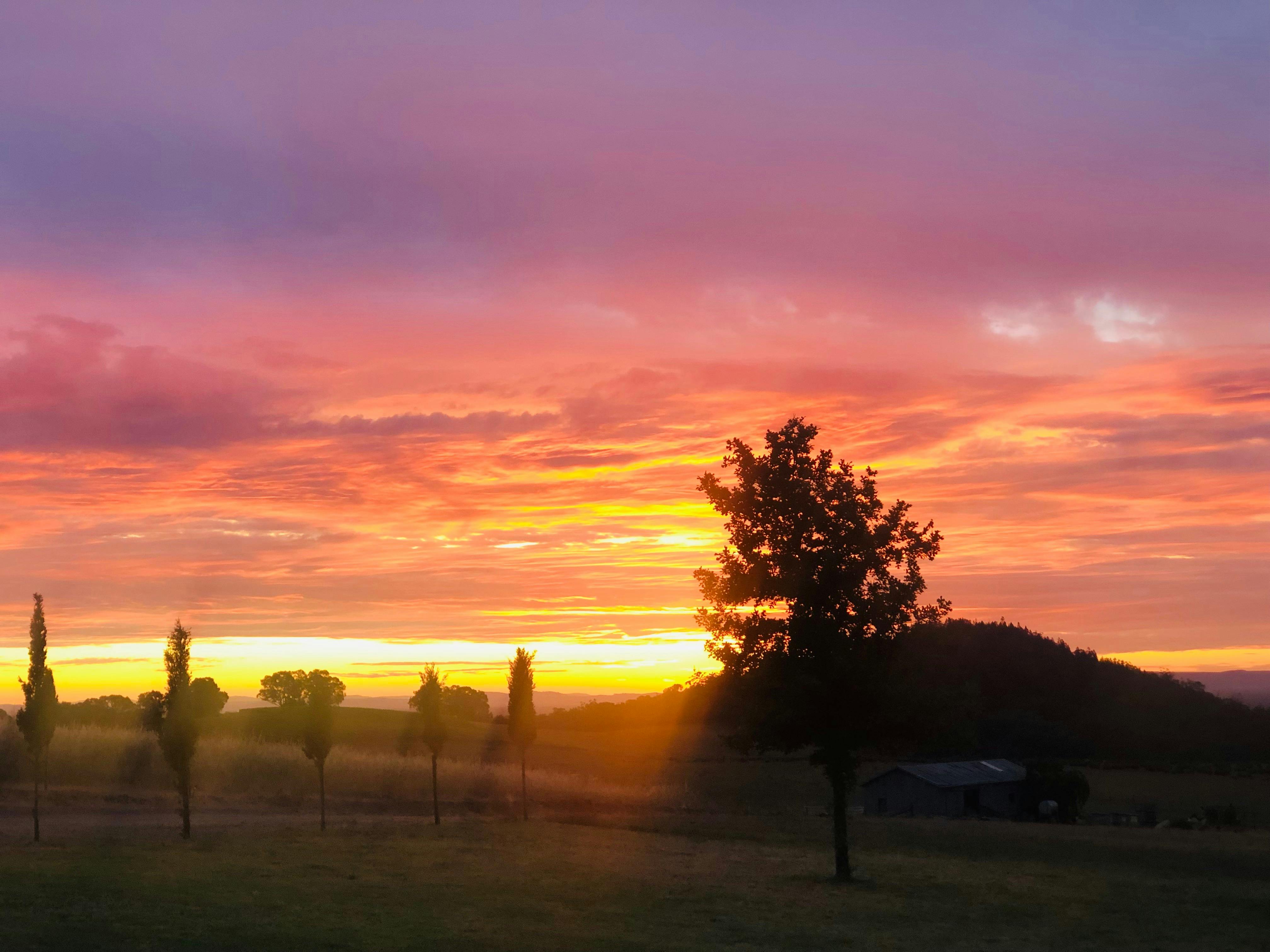 Sunset Gin Garden Party