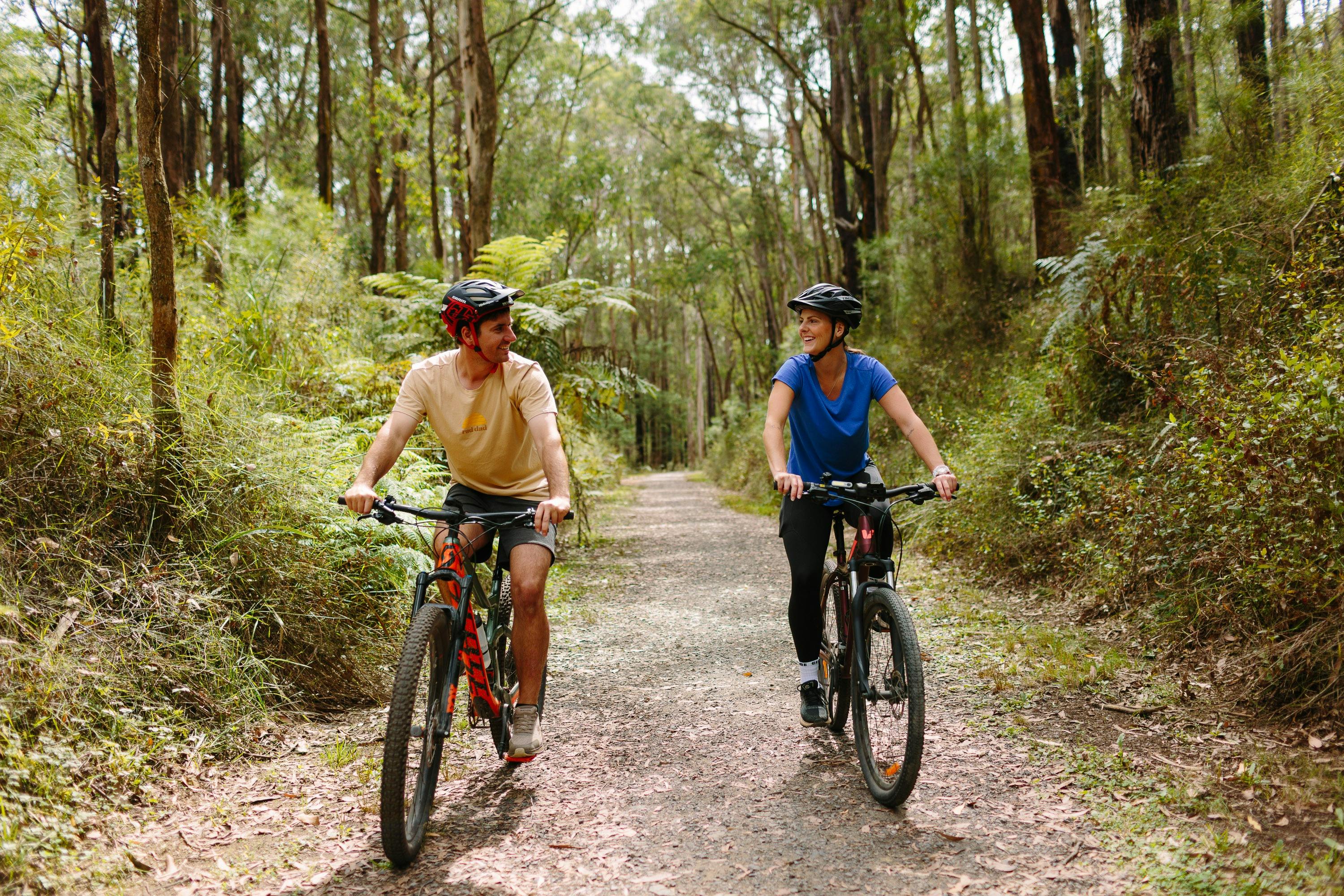 You can walk or ride from nearby Noojee township along the rail trail to the bridge