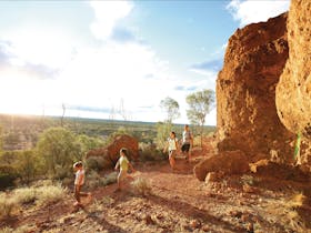 Baldy Top Lookout
