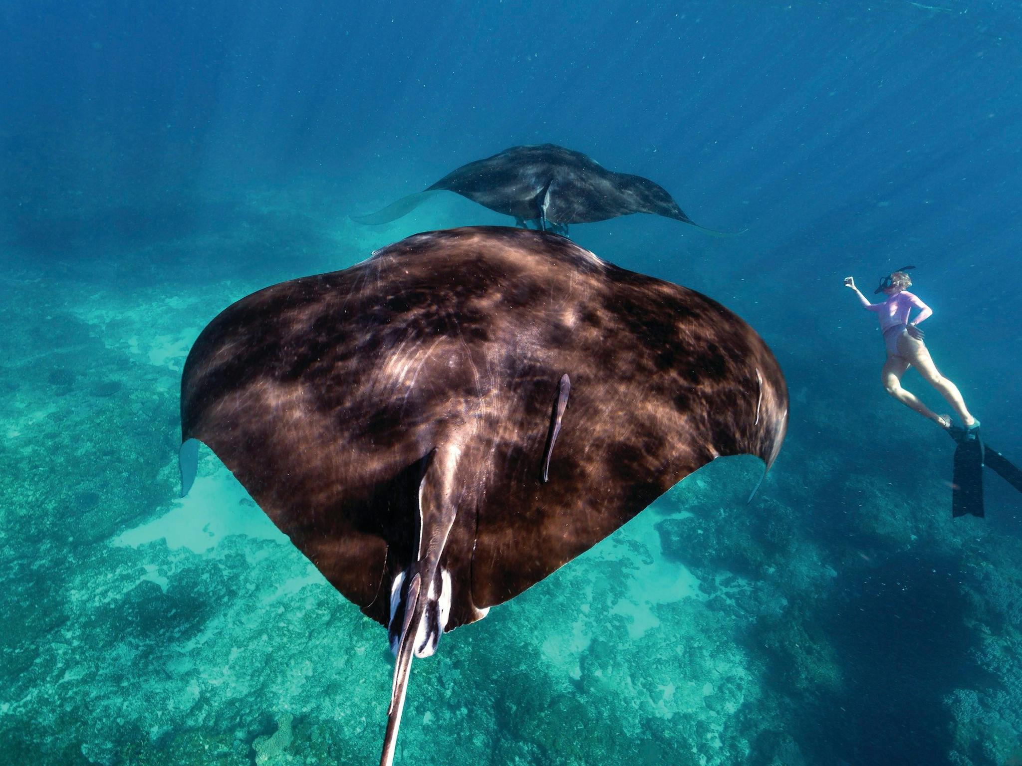 Complete Ningaloo Reef Experience, Exmouth, Western Australia