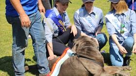 Griffith Agricultural Show
