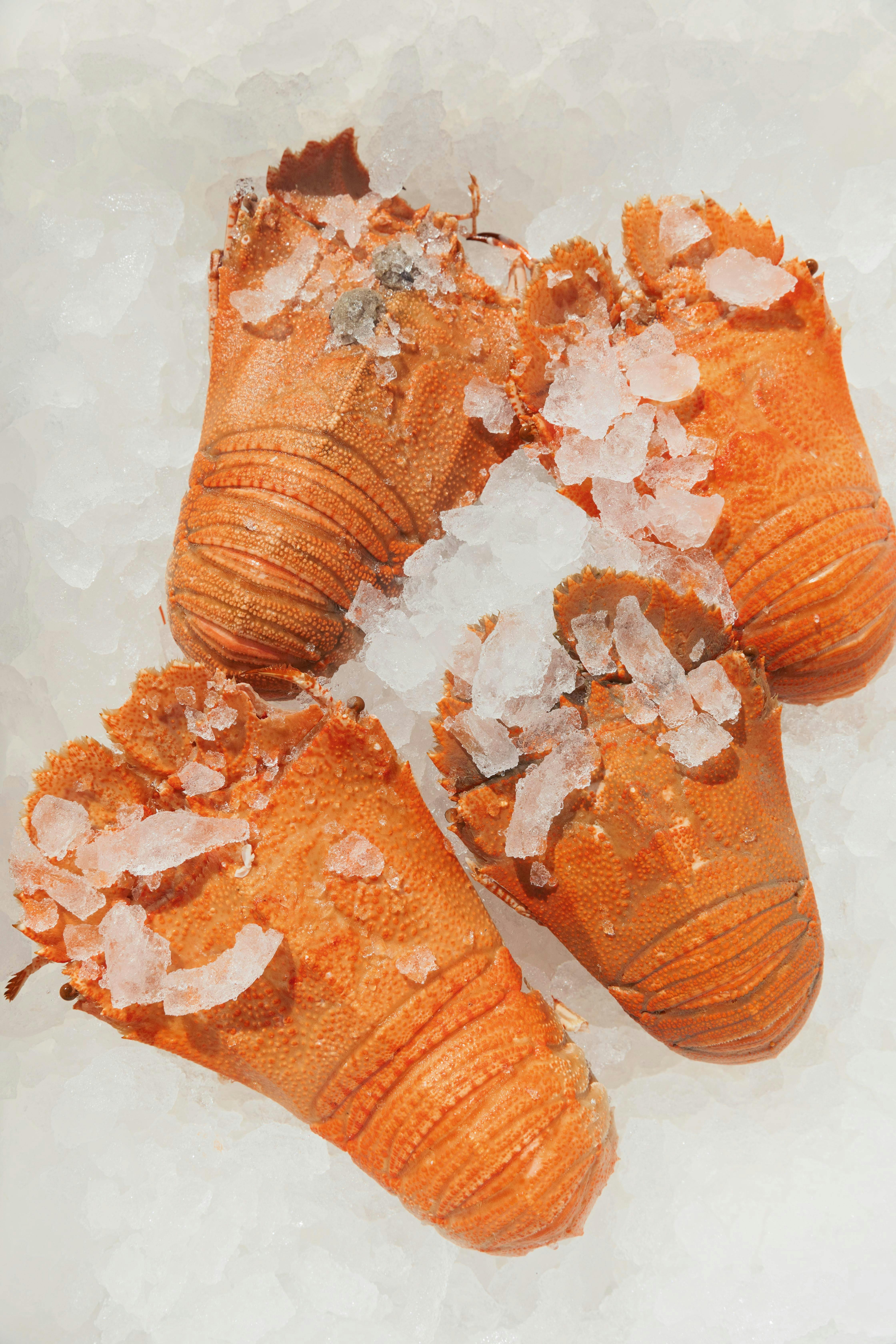 Rufus King Seafoods Amity Point