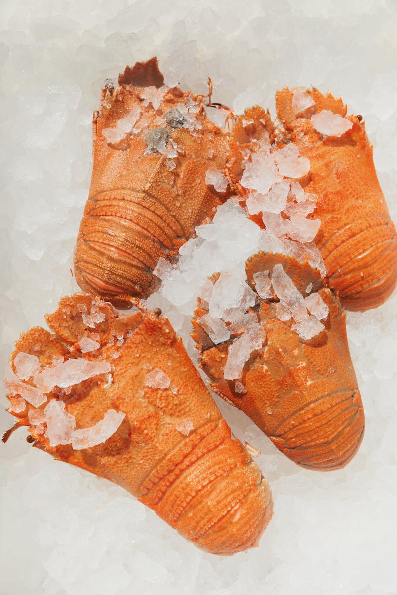 Freshly Cooked Moreton Bay Bugs