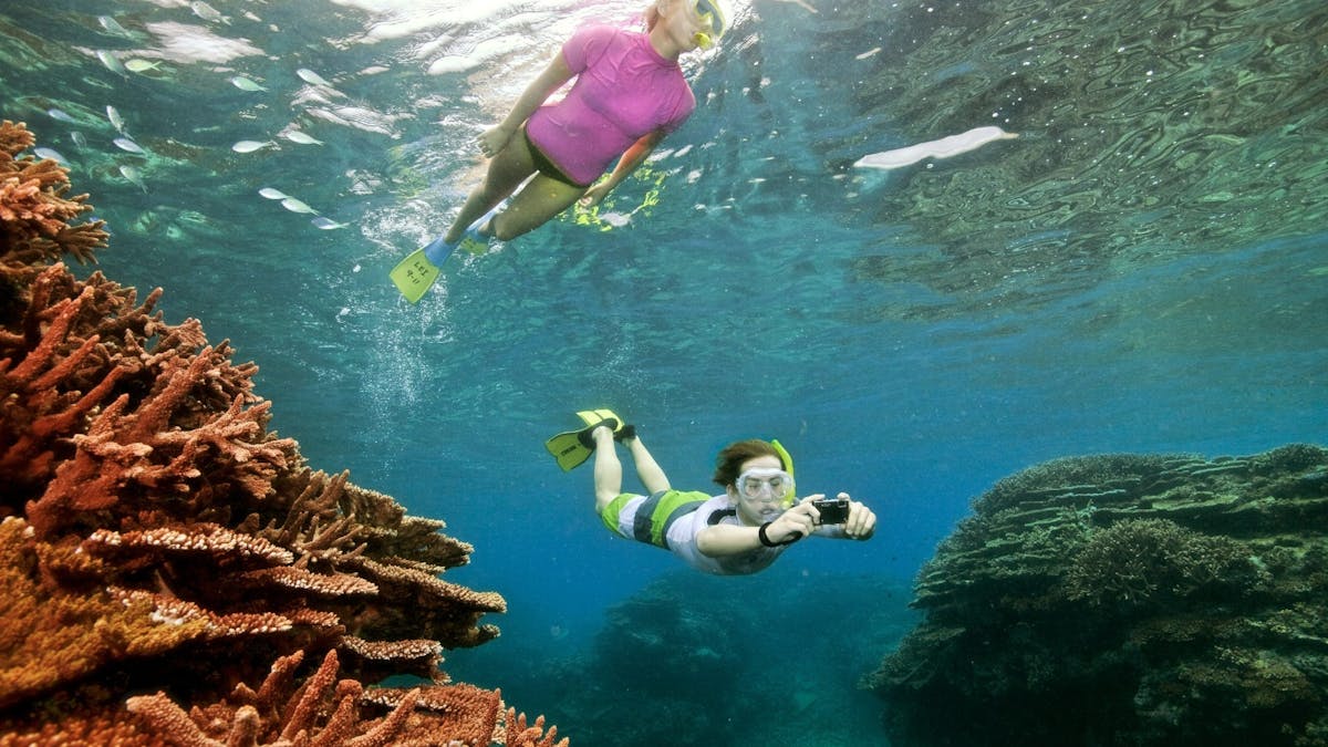 To people snorkel under water surrounded by the reef