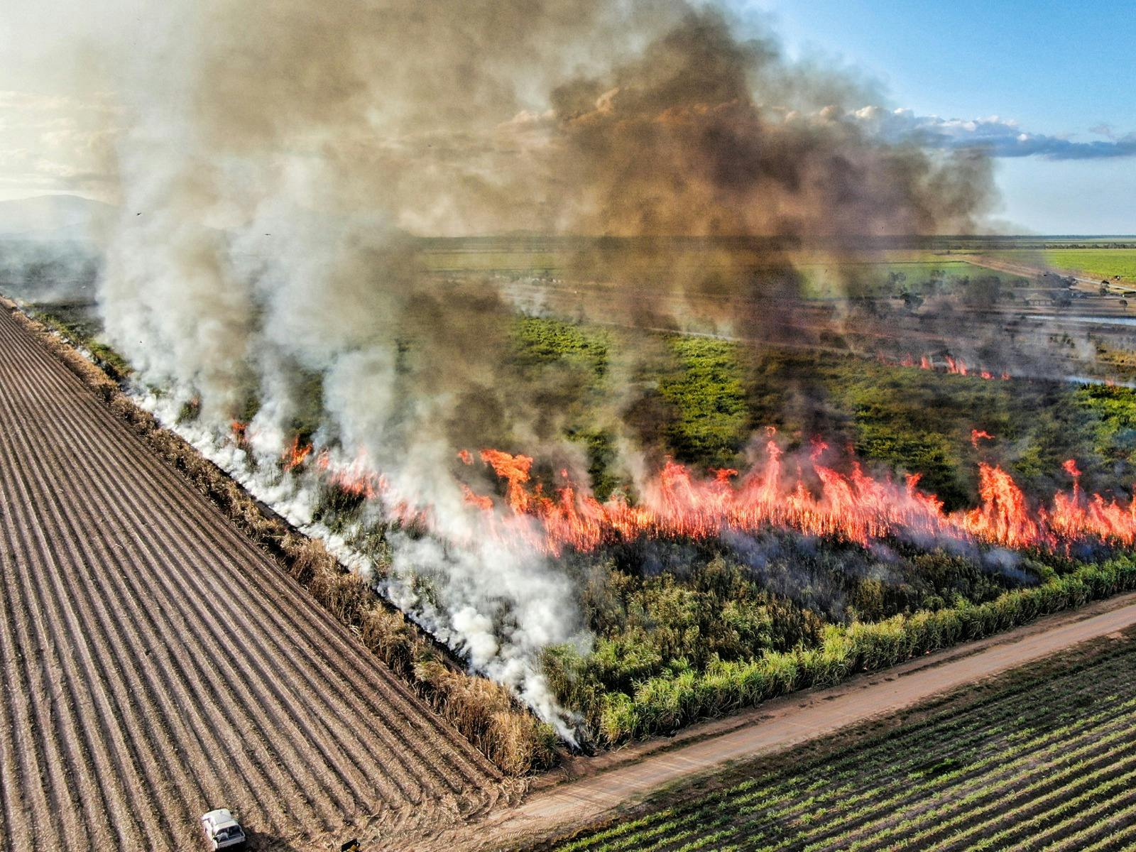 Cane fire in the Burdekin region Cane fire in the Burdekin region