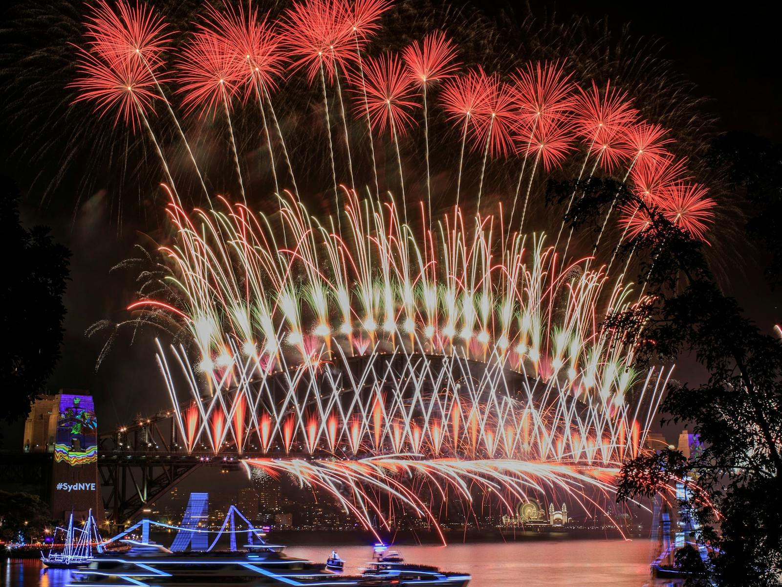 Image for Bridgeview - New Year's Eve at the Royal Botanic Garden Sydney