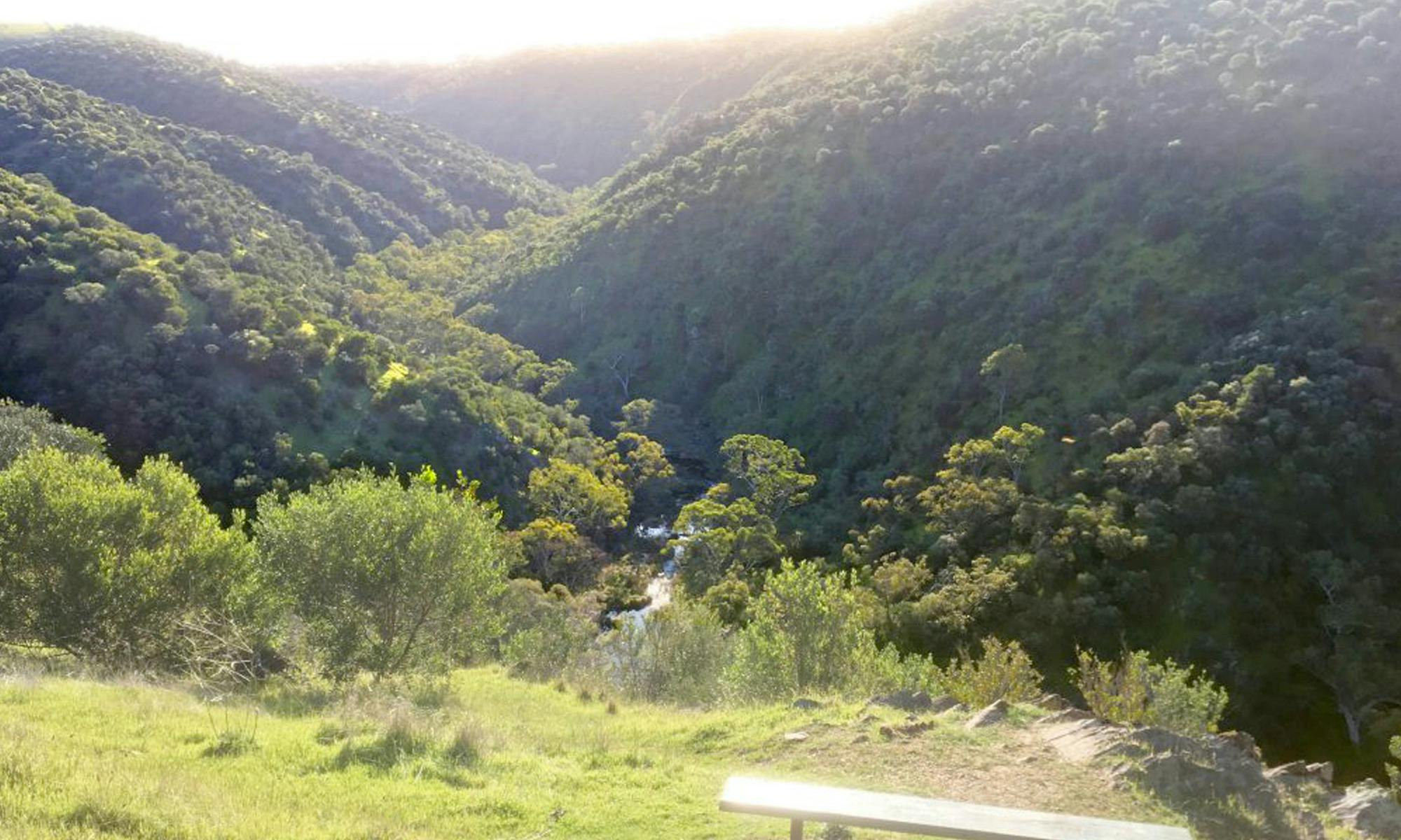Chapel Hill Lookout Loop