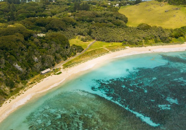 Ned's Beach