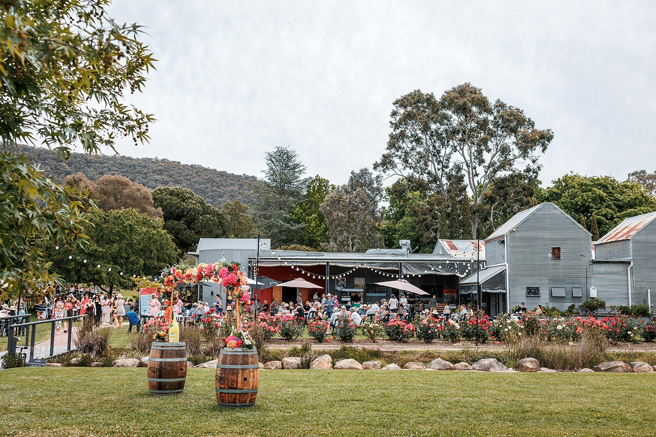 Pizzini Cellar Door festival weekend
