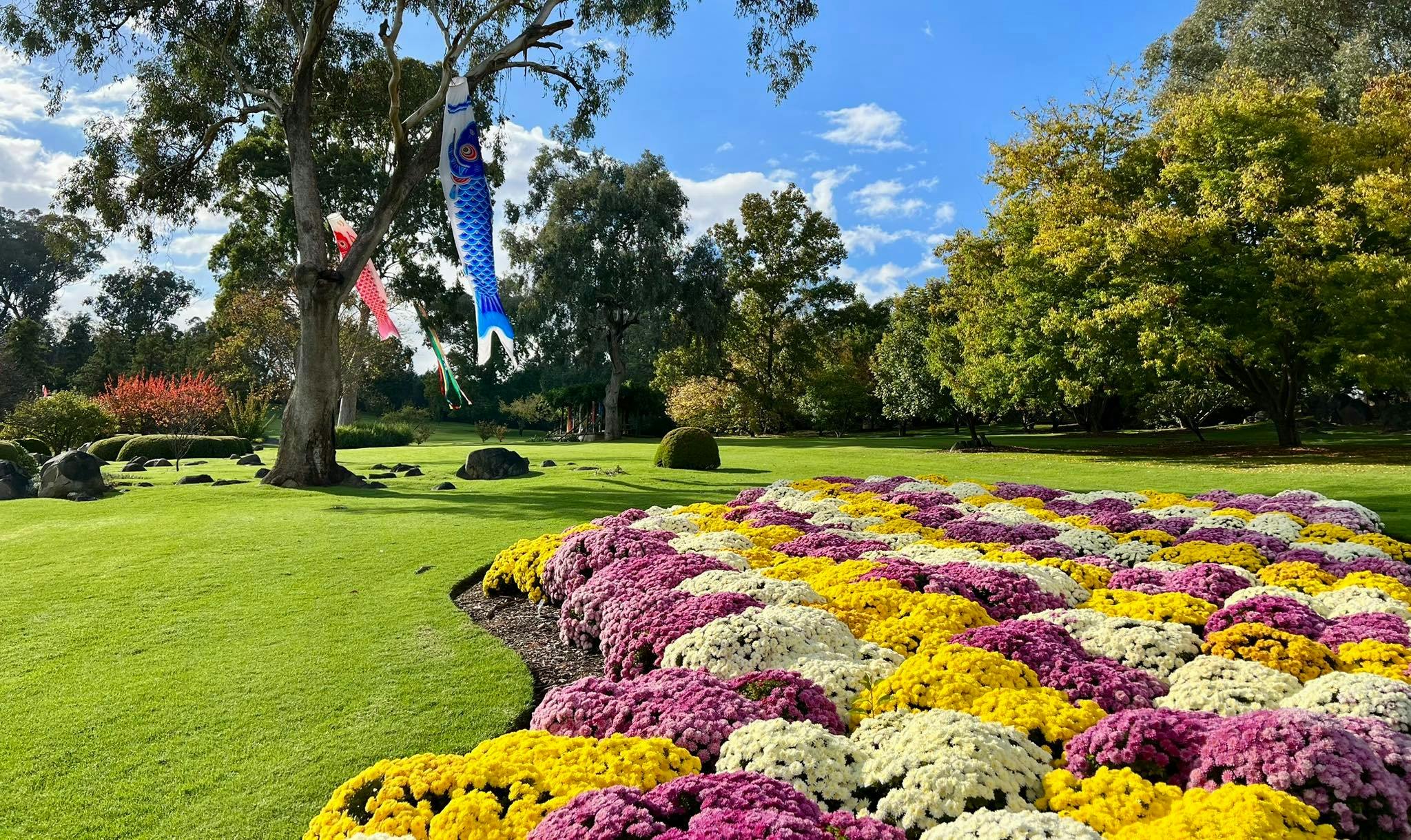 Koyo Matsuri - Autumn Festival