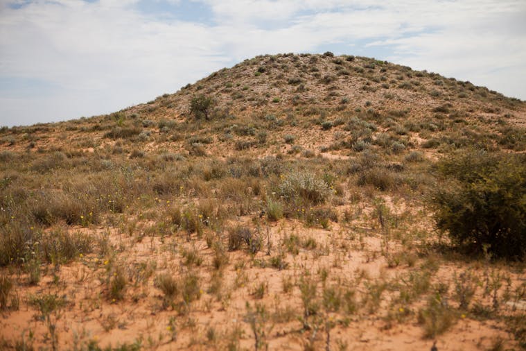 MungaThirri Simpson Desert Conservation Park and Regional Reserve
