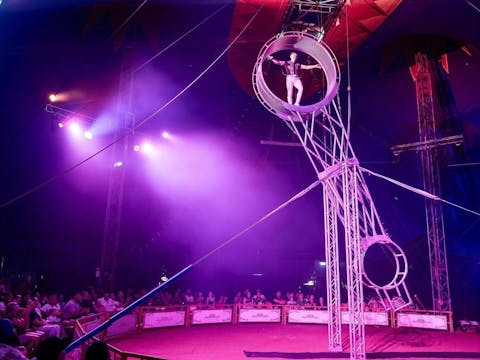 Stardust Circus Miranda