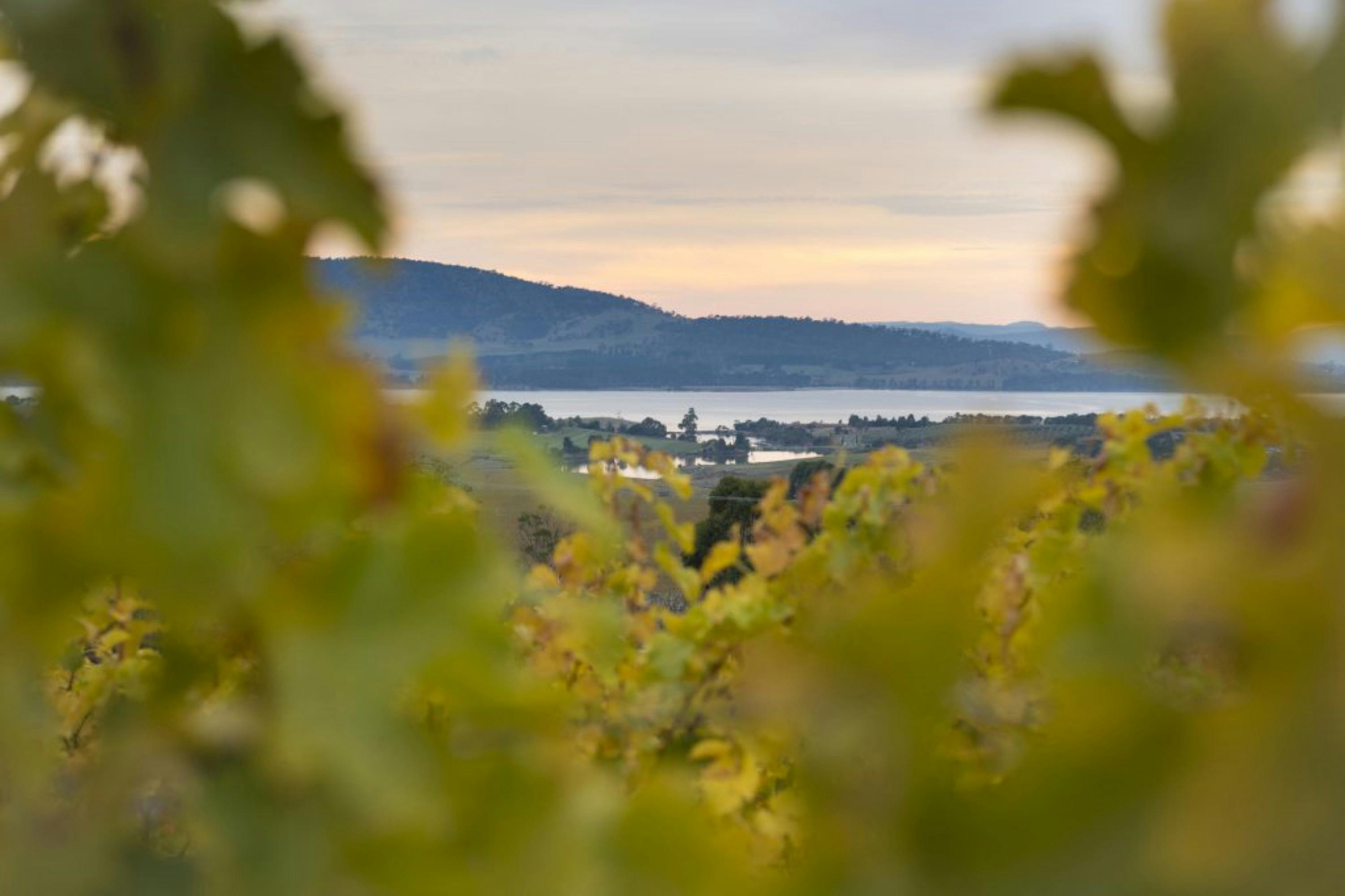 Imagine tasting wine and looking at this view!