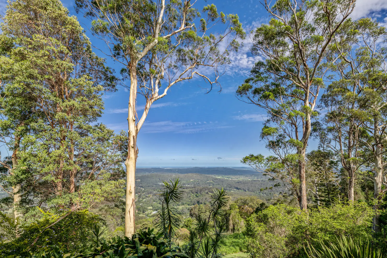 Hinterland & coastline views