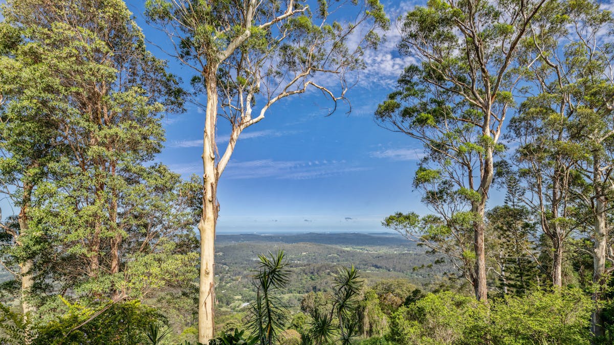 Hinterland & coastline views