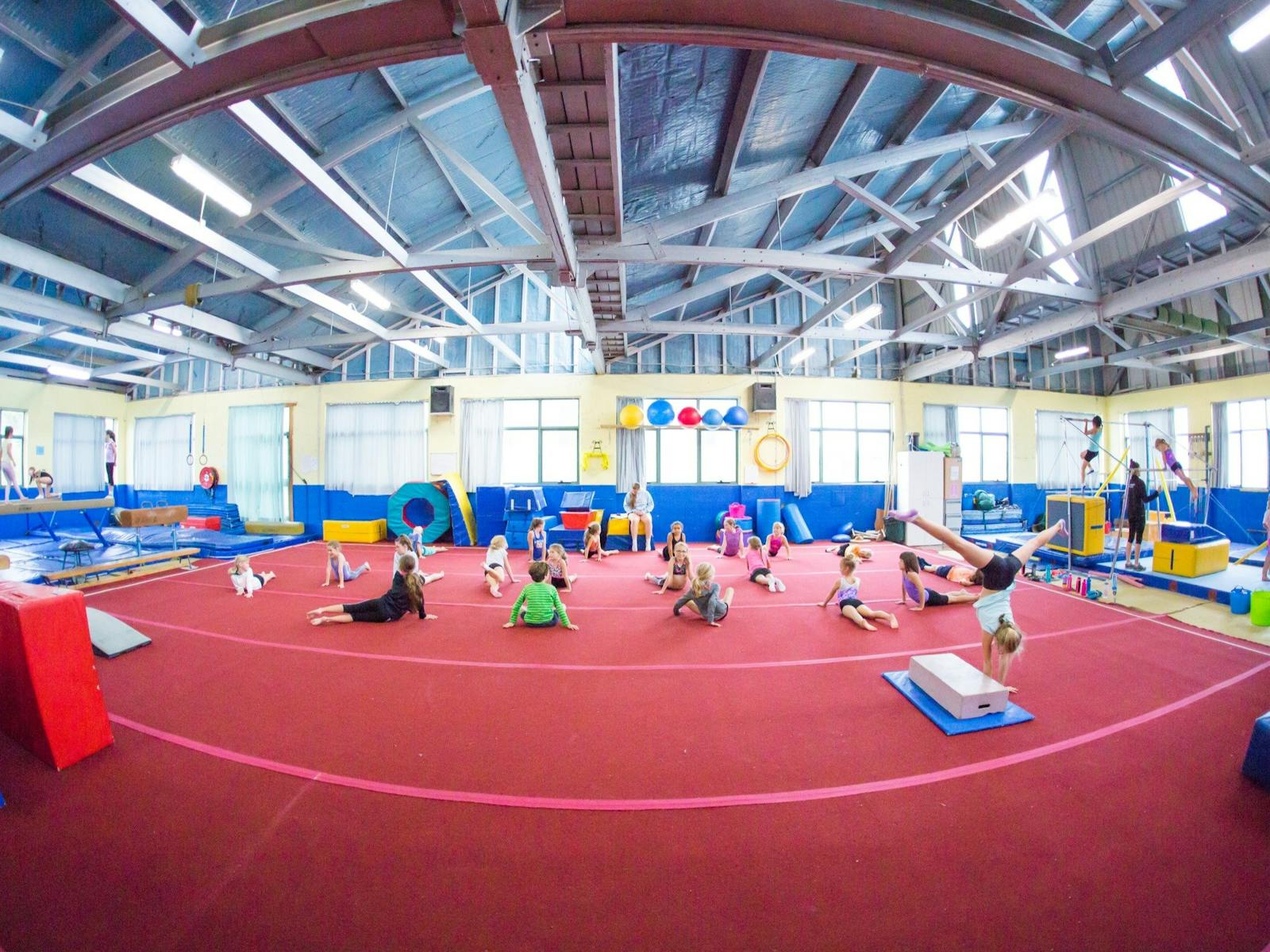 Image for Kids Gymnastics at Wests League Club