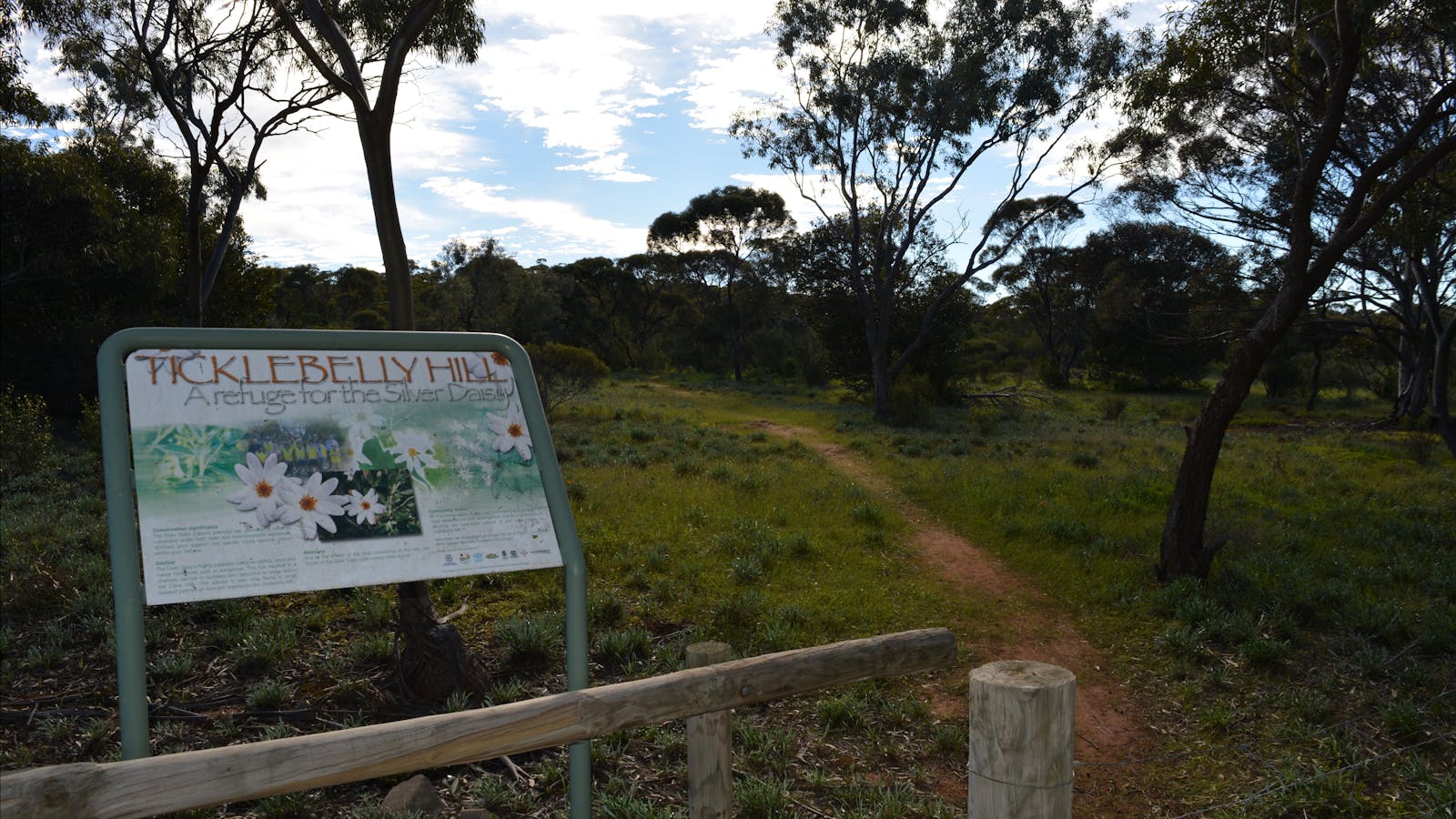 Observation Hill and Lookout