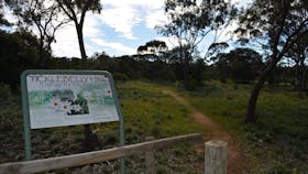 Observation Hill and Lookout