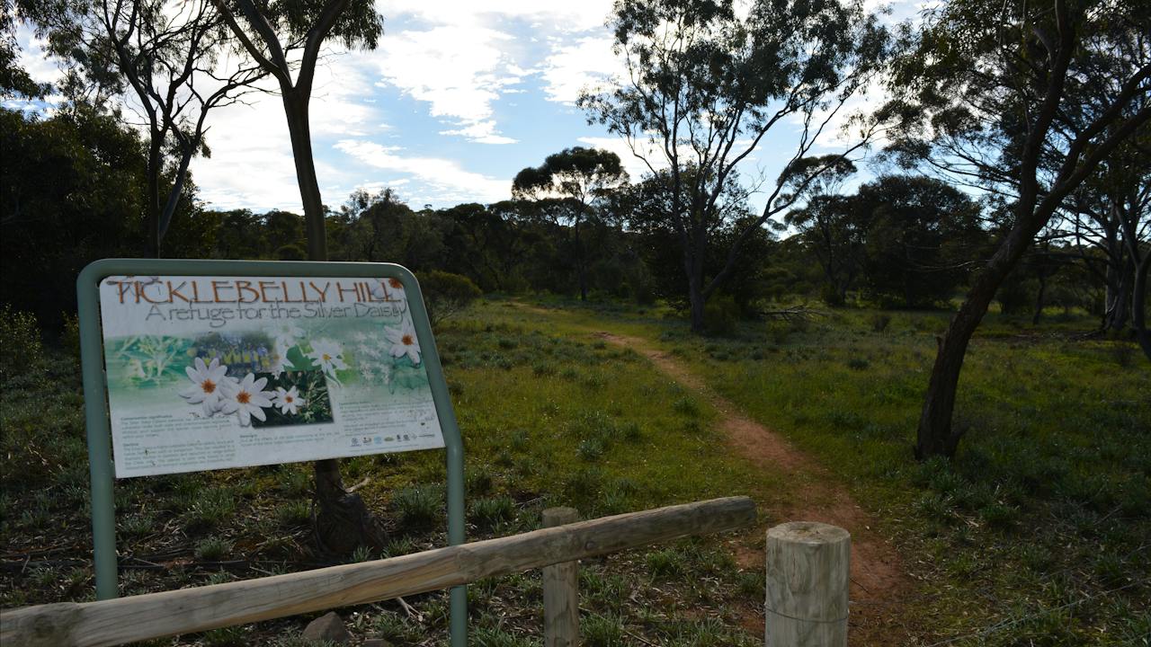 Ticklebelly entry point