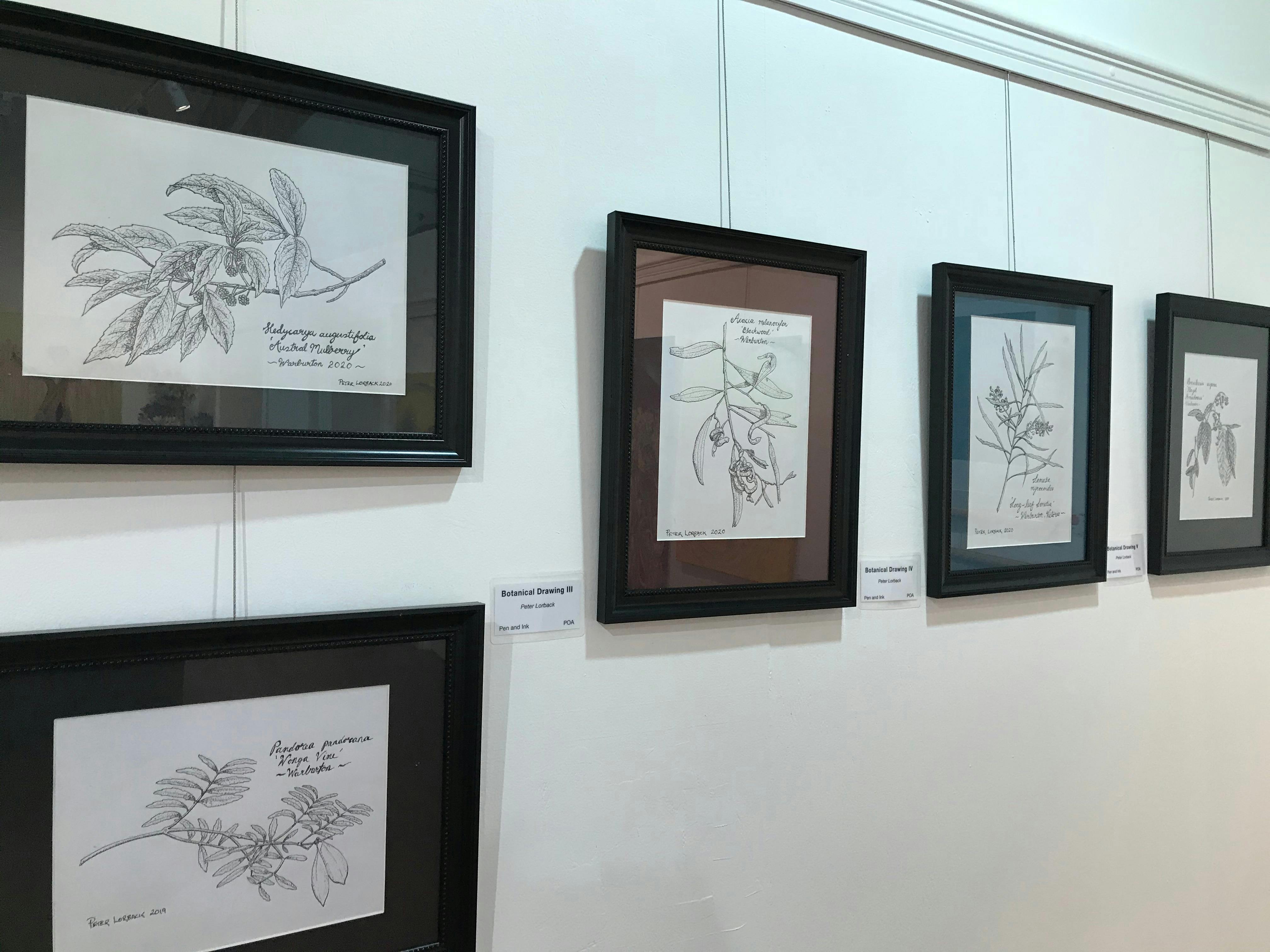 The Waterwheel Art Gallery at Warburton