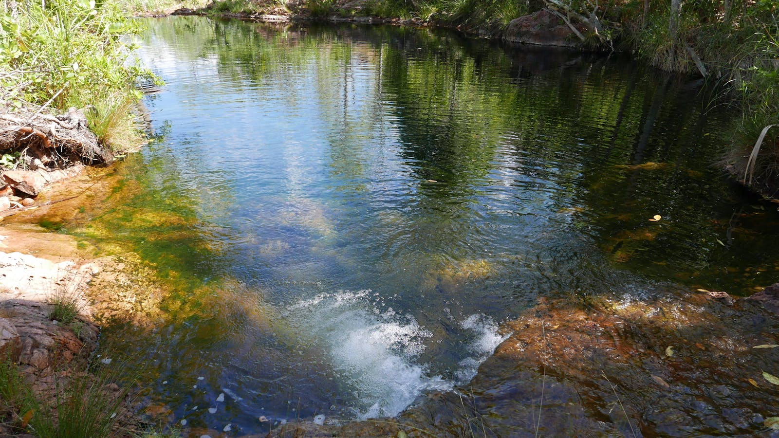 Walker Creek