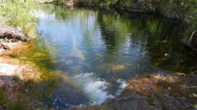 Walker Creek, Site 8