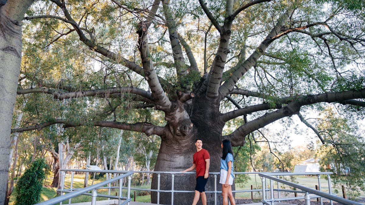 Two people walk on a metal platform around a large bottle tree