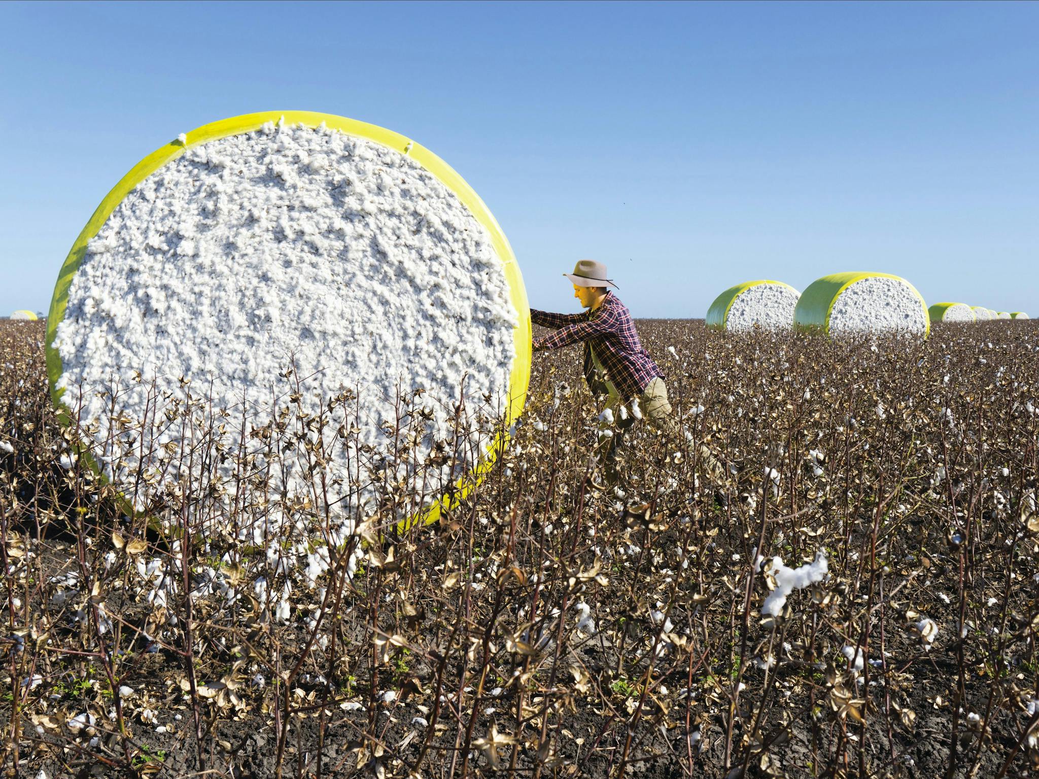 Cotton Harvesting outside Dalby Cotton Harvesting outside Dalby