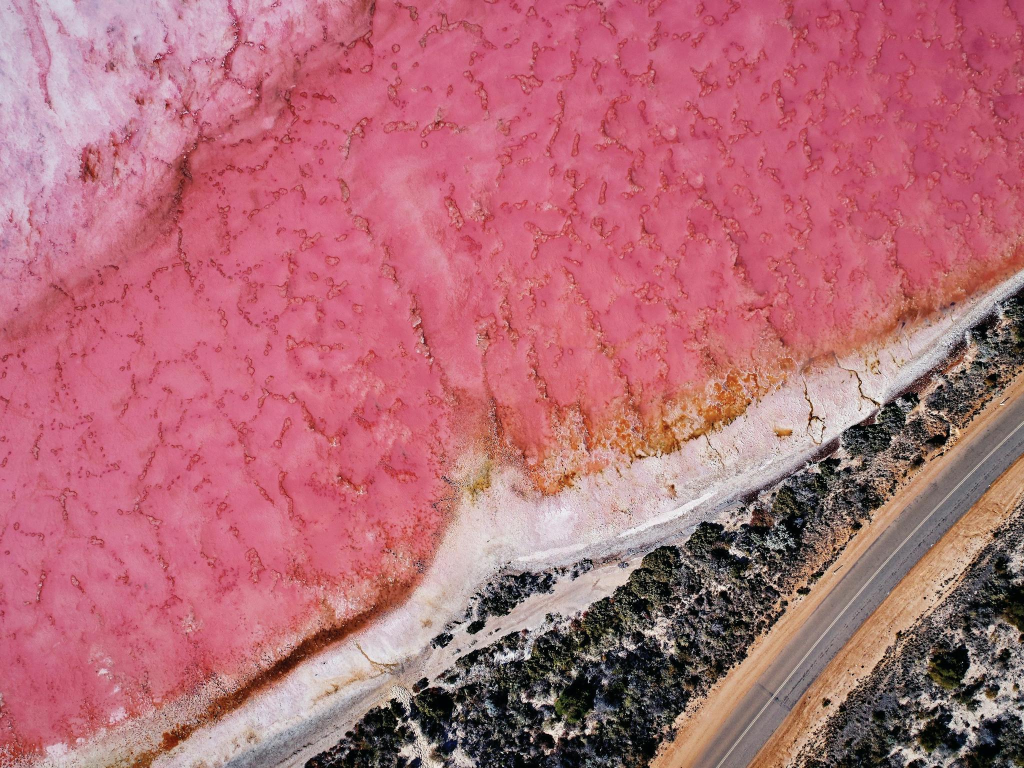 Northern Explorer Wildflower Trail