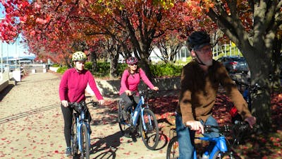 Cycling Canberra in Autumn