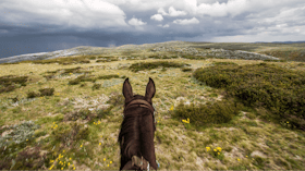 Riding Across the High Plains