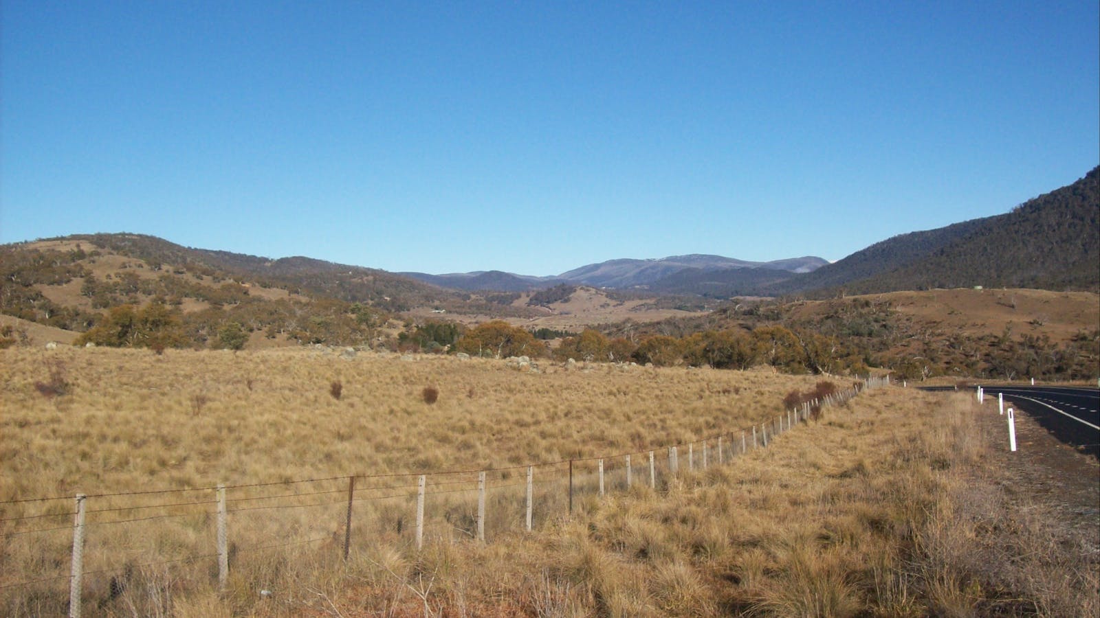 Thredbo Valley Horse Riding