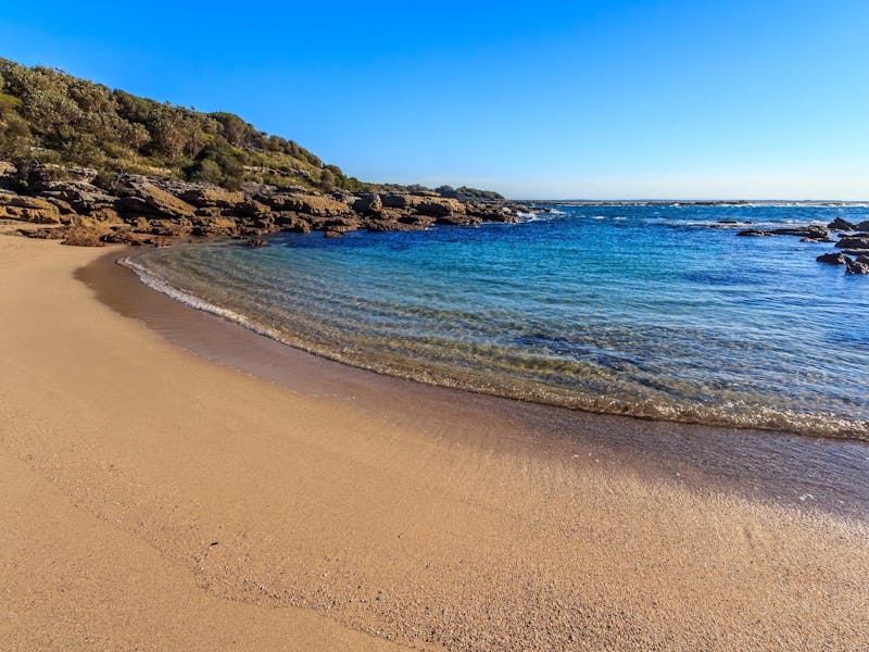 Wilsons Beach NSW Holidays & Things to Do, Attractions