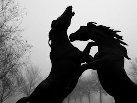 Stallions Rampant - Rymill Coonawarra's life-size bronze sculpture