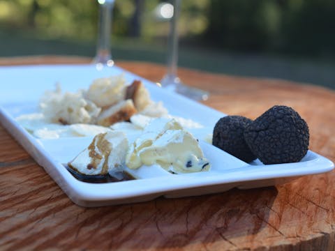 Fungi Feastival - Merimbula