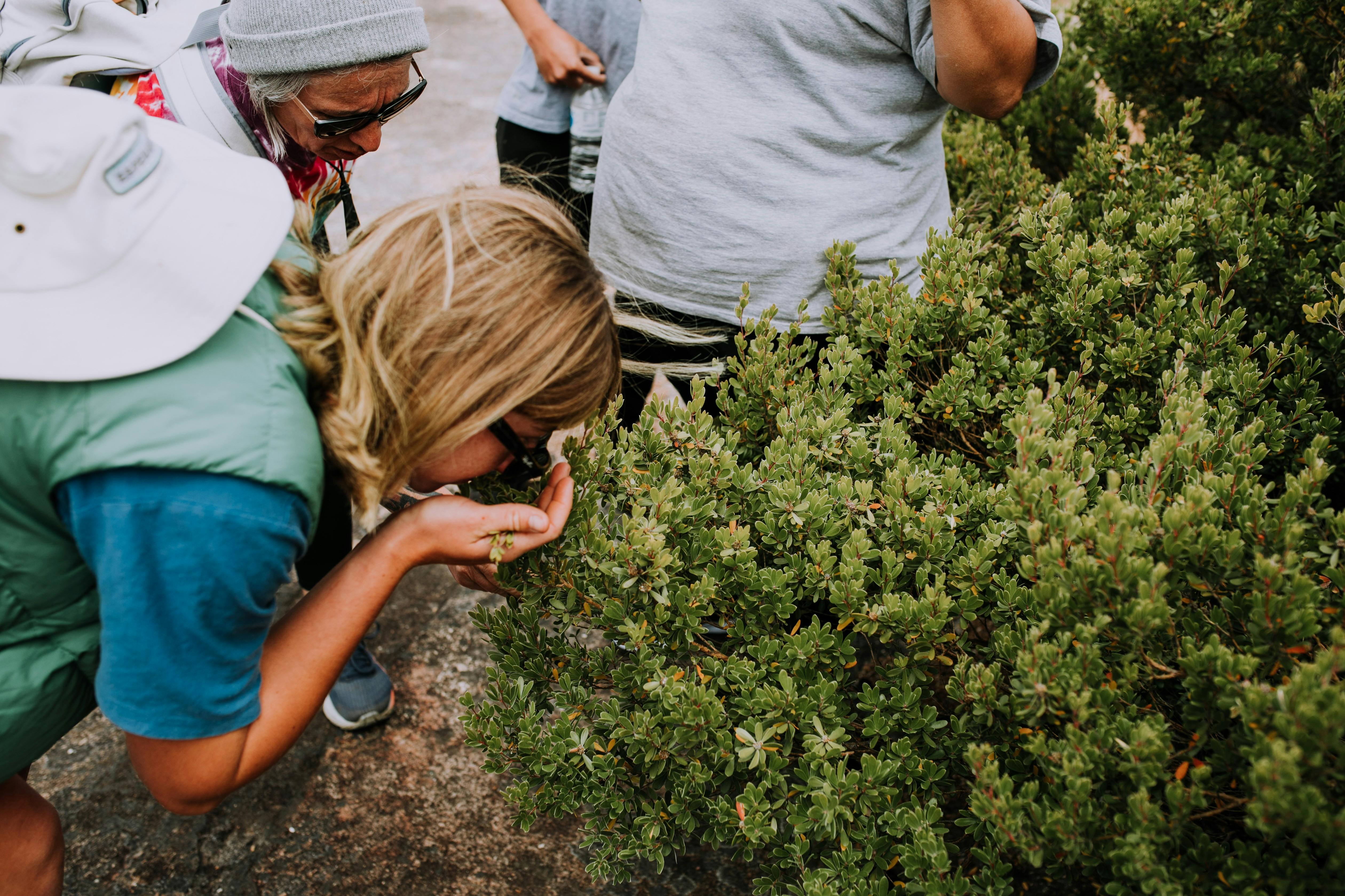 Smelling Plants