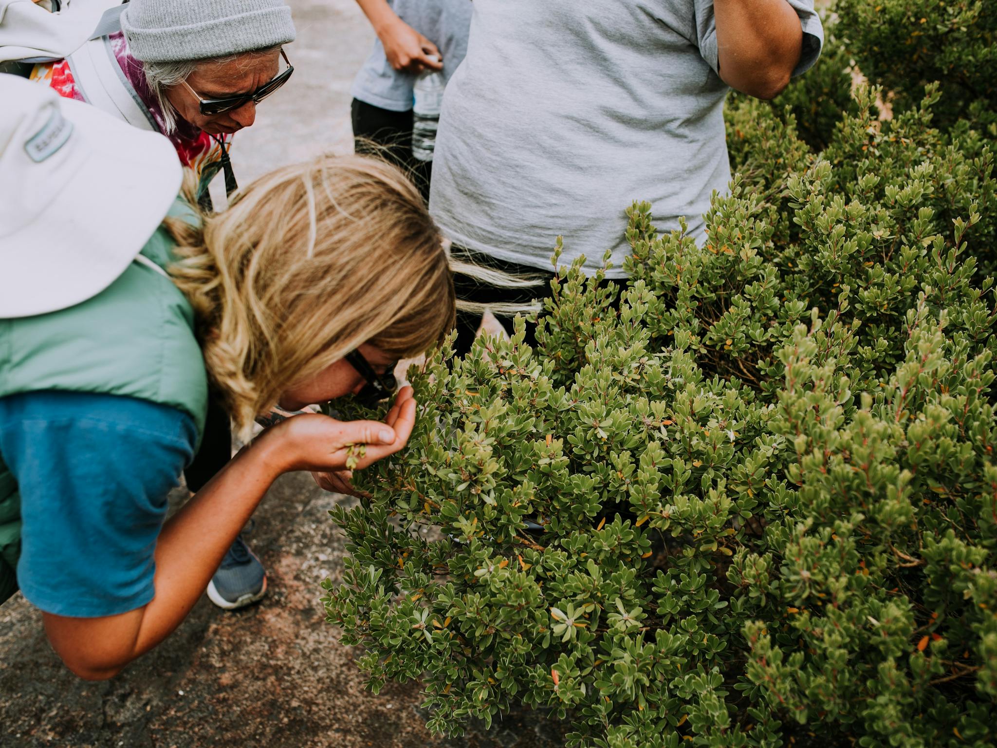 Smelling Plants