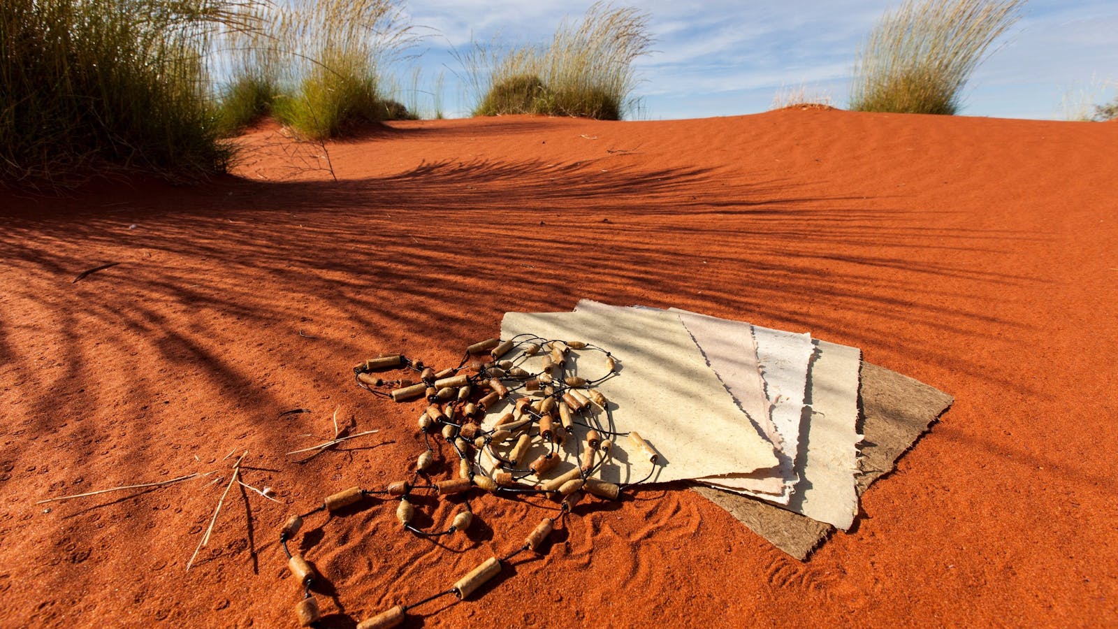 Curtin Springs Paper