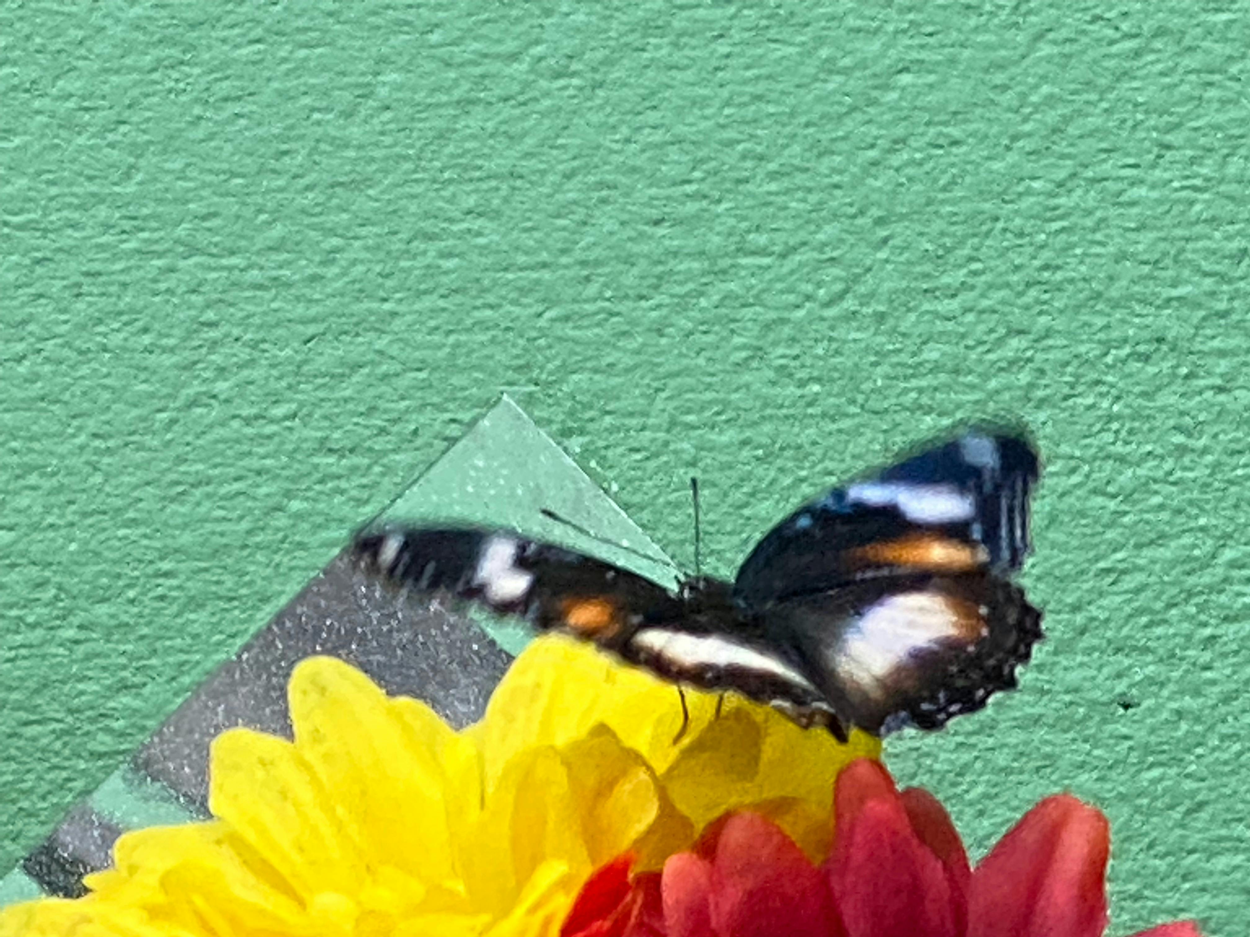 Tinnys Butterfly House and Underwater Cafe