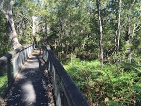 The boardwalk in Telford Scrub Conservation Park
